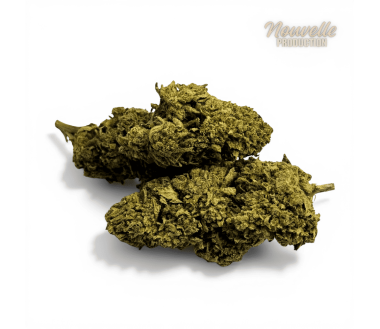 Fleur de CBD California Pink Haze NL-1 10%