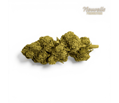 Résine Lemon Hash NL-1 Premium 12,5%