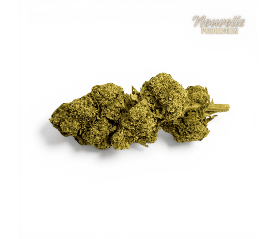 Fleur Tropical Haze 2.0 CBDX (CBD Xtrem) NL-1 12,5% Indoor