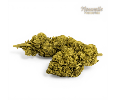 Fleur Tropical Haze 2.0 CBDX (CBD Xtrem) NL-1 12,5% Indoor