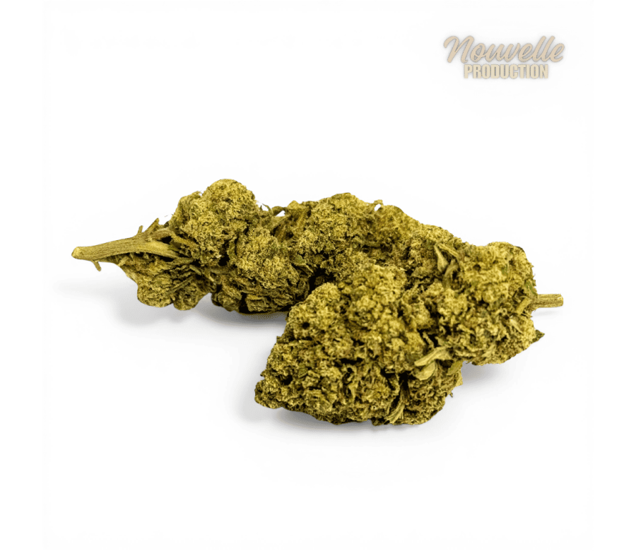 Fleur Tropical Haze 2.0 CBDX (CBD Xtrem) NL-1 12,5% Indoor