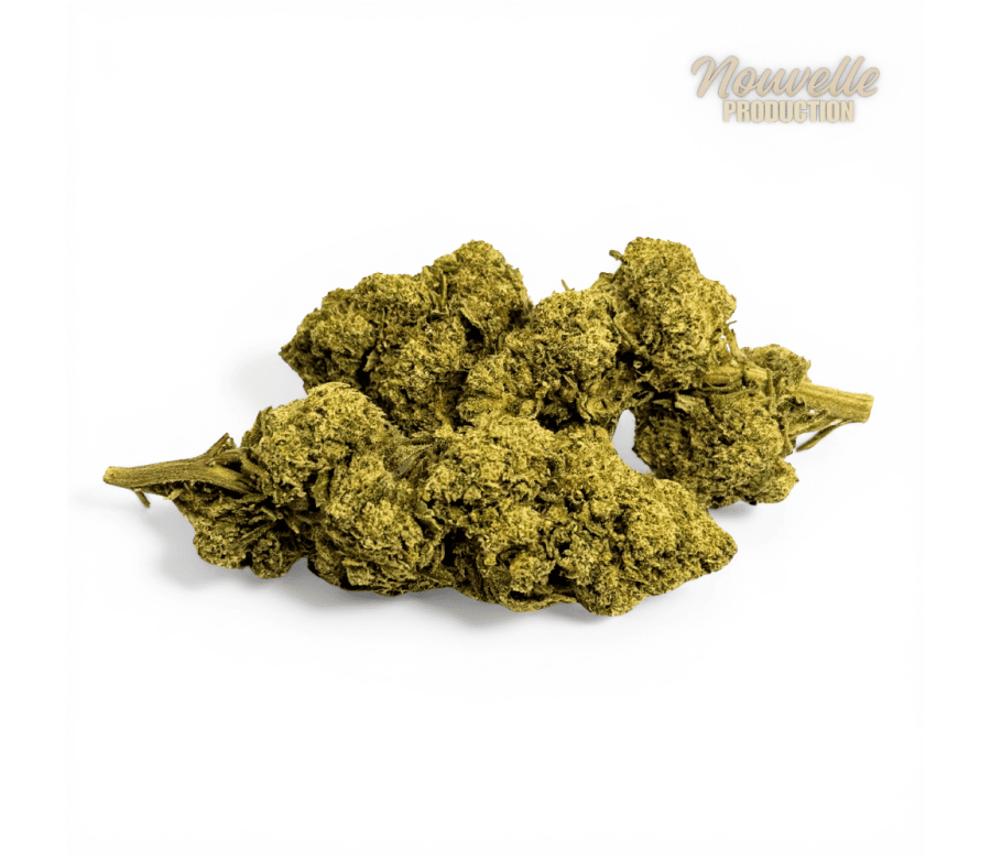 Fleur Tropical Haze 2.0 CBDX (CBD Xtrem) NL-1 12,5% Indoor
