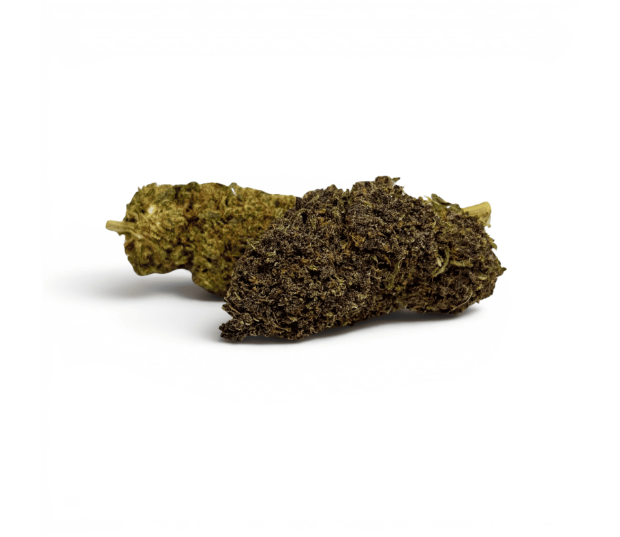 Fleur Purple Haze CBDX (CBD Xtrem) Indoor 20% Fleur Purple Haze CBDX (CBD Xtrem) Indoor 20%