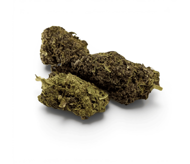 Fleur Purple Haze CBDX (CBD Xtrem) Indoor 20%