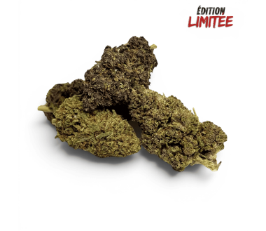 Fleur Purple Haze CBDX (CBD Xtrem) Indoor 20%