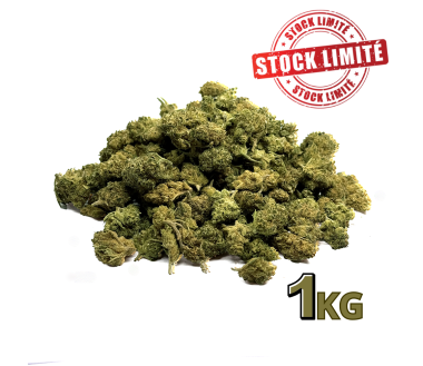 Déstockage 1KG SMALL BUD CBD