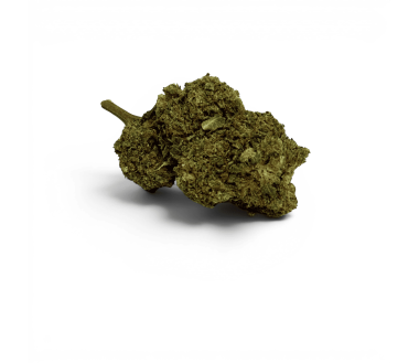 Fleur Purple Haze CBDX (CBD Xtrem) Indoor 20%