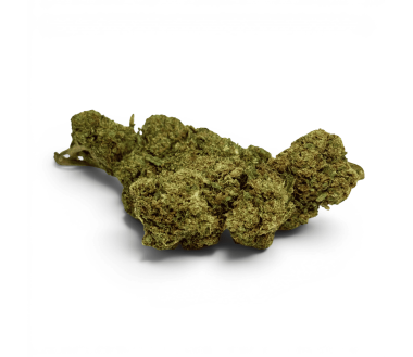 Fleur Candy Kush CBDX (CBD Xtrem) Greenhouse 20%