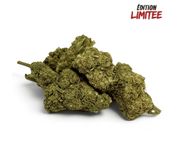 Fleur Candy Kush CBDX (CBD Xtrem) Greenhouse 20%