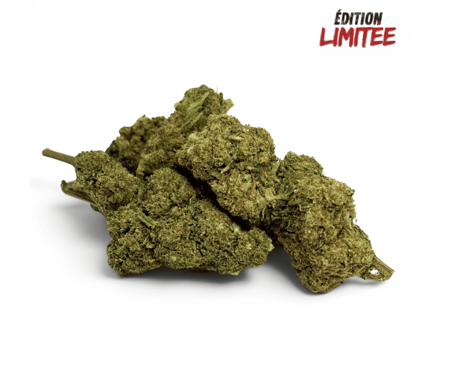 Fleur Candy Kush CBDX (CBD Xtrem) Greenhouse 20%
