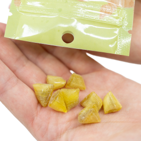 Cbd-Gardens | Alimentation au CBD