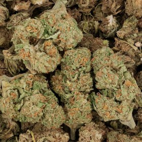 Cbd-Gardens | Fleurs de CBD